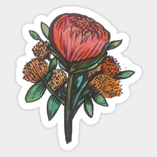 Pincushion Protea Sticker